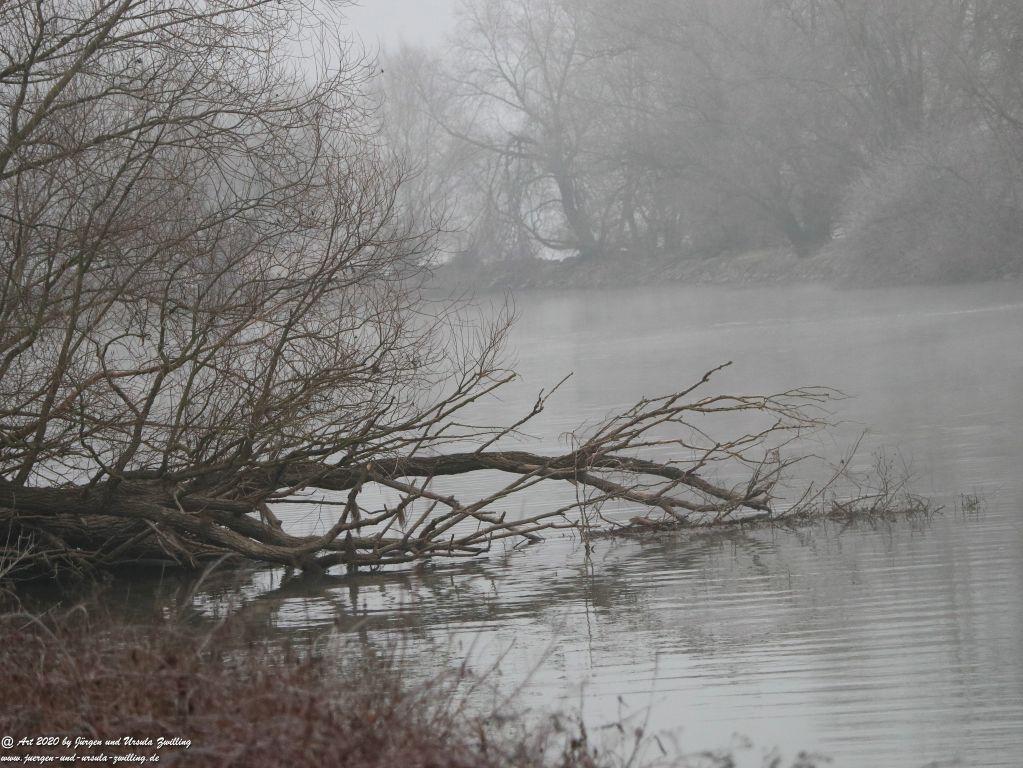 Philosophische Bildwanderung im  Nebel von Eltville am Rhein nach Hattenheim zurück nach Eltville