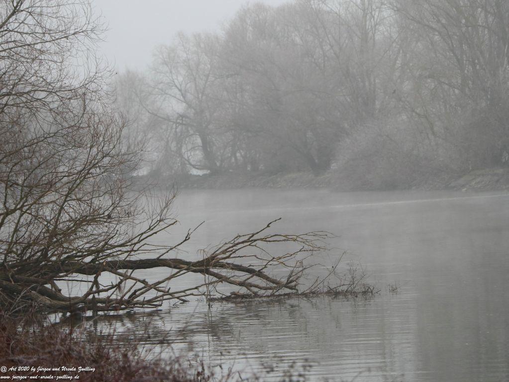 Philosophische Bildwanderung im  Nebel von Eltville am Rhein nach Hattenheim zurück nach Eltville