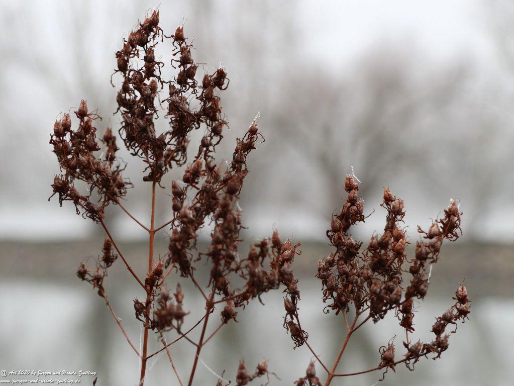 Philosophische Bildwanderung im Nebel von Eltville am Rhein nach Hattenheim zurück nach Eltville
