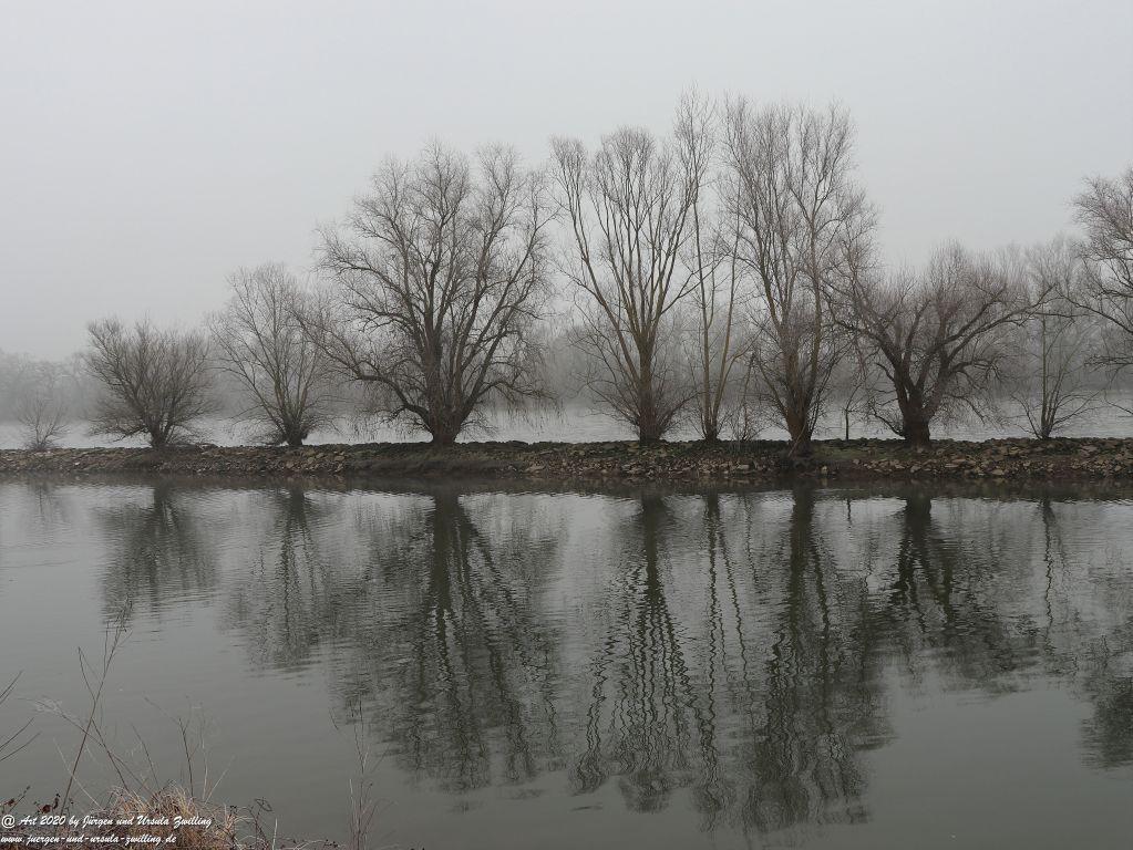 Philosophische Bildwanderung im Nebel von Eltville am Rhein nach Hattenheim zurück nach Eltville