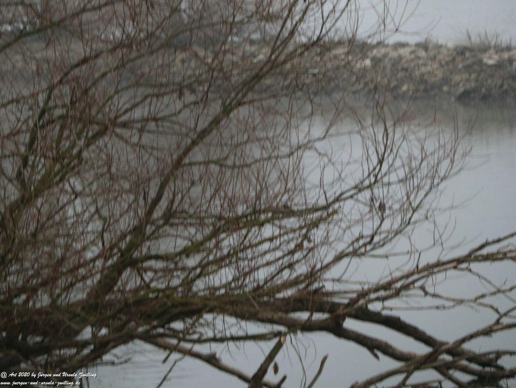 Philosophische Bildwanderung im Nebel von Eltville am Rhein nach Hattenheim zurück nach Eltville