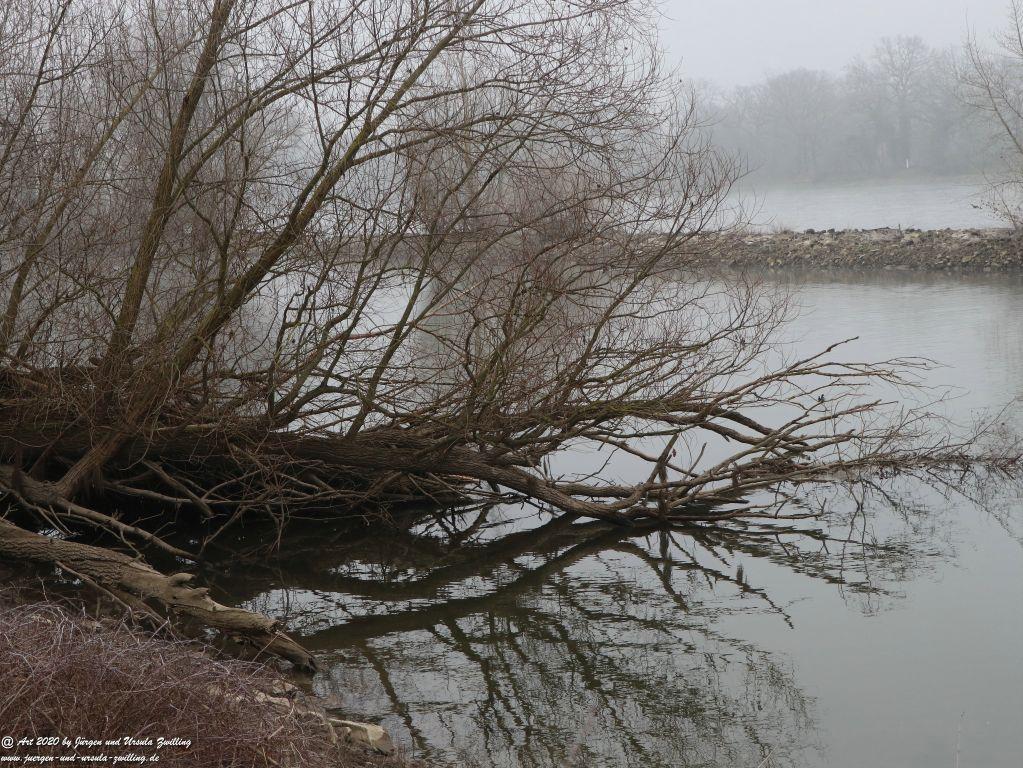 Philosophische Bildwanderung im Nebel von Eltville am Rhein nach Hattenheim zurück nach Eltville