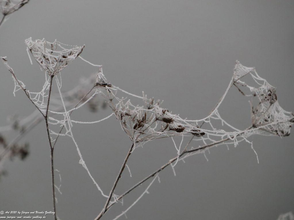 Philosophische Bildwanderung im Nebel von Eltville am Rhein nach Hattenheim zurück nach Eltville