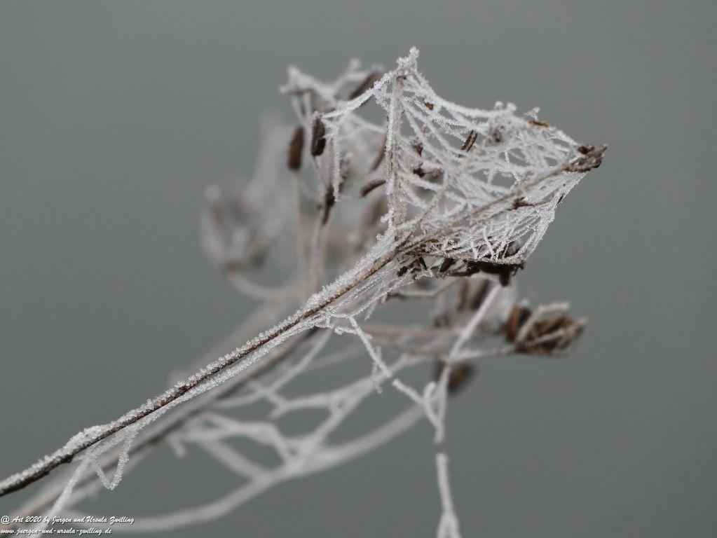 Philosophische Bildwanderung im Nebel von Eltville am Rhein nach Hattenheim zurück nach Eltville