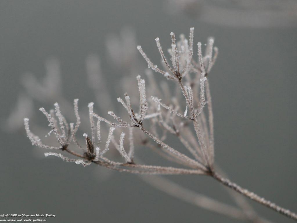 Philosophische Bildwanderung im Nebel von Eltville am Rhein nach Hattenheim zurück nach Eltville