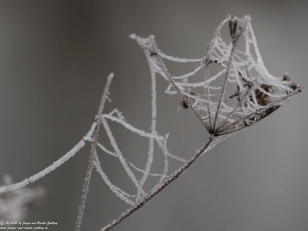 Philosophische Bildwanderung im Nebel von Eltville am Rhein nach Hattenheim zurück nach Eltville