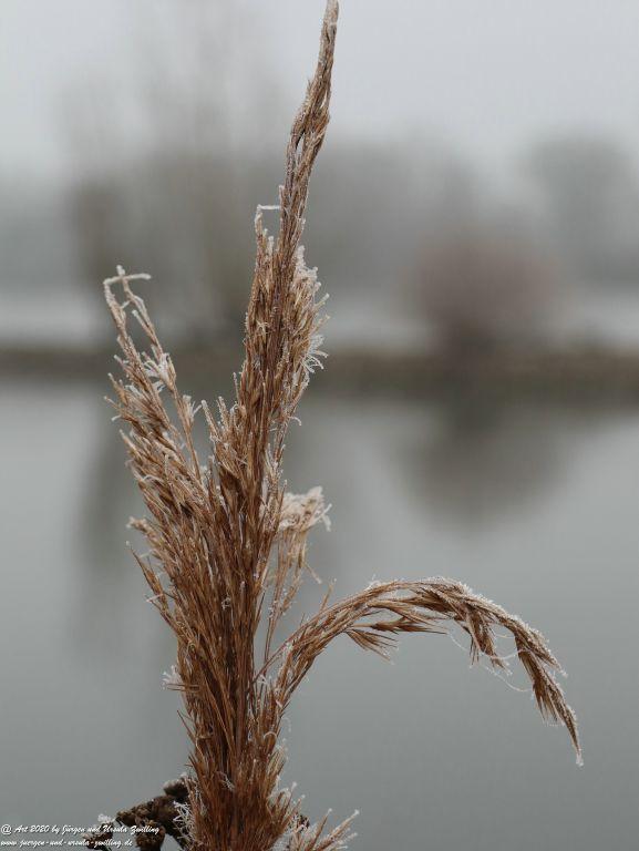 Philosophische Bildwanderung im Nebel von Eltville am Rhein nach Hattenheim zurück nach Eltville