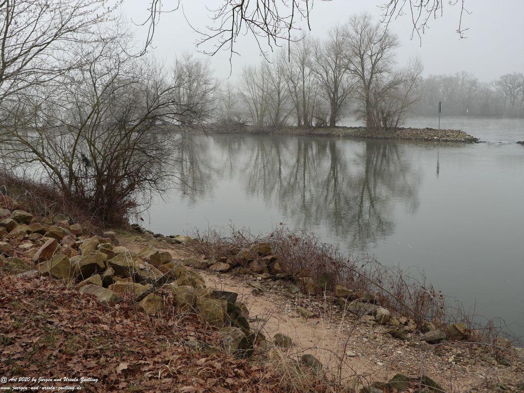 Philosophische Bildwanderung im Nebel von Eltville am Rhein nach Hattenheim zurück nach Eltville