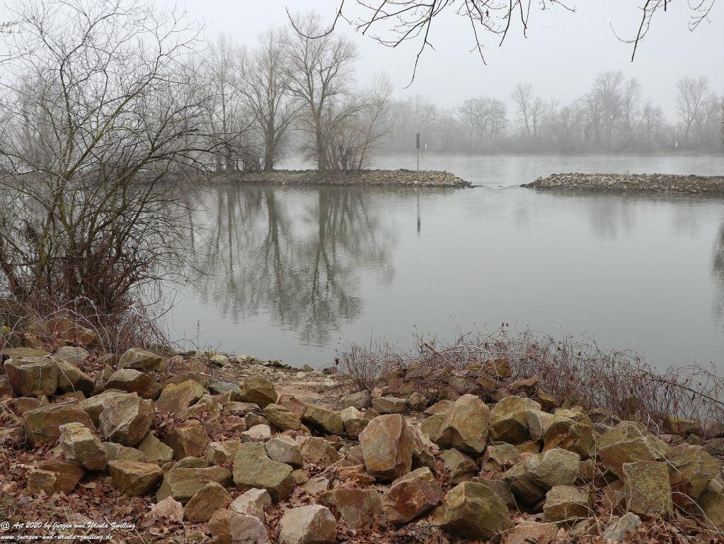Philosophische Bildwanderung im Nebel von Eltville am Rhein nach Hattenheim zurück nach Eltville