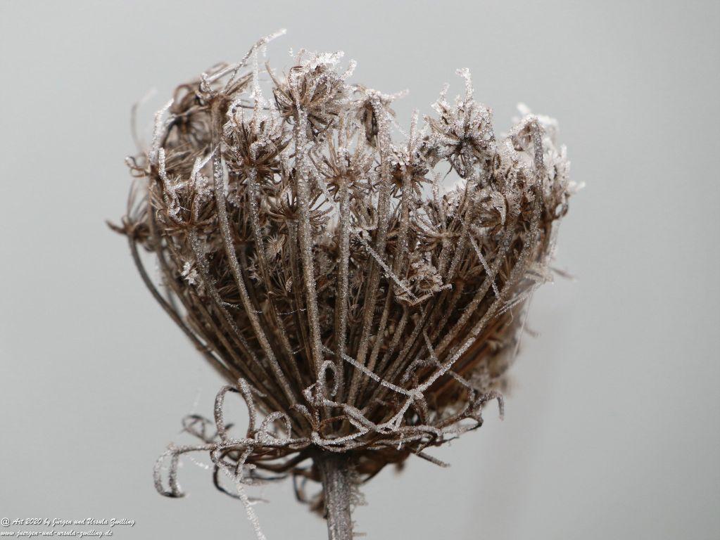 Philosophische Bildwanderung im Nebel von Eltville am Rhein nach Hattenheim zurück nach Eltville