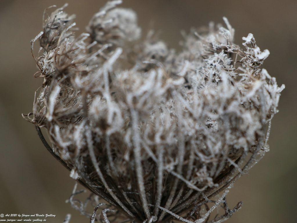 Philosophische Bildwanderung im Nebel von Eltville am Rhein nach Hattenheim zurück nach Eltville