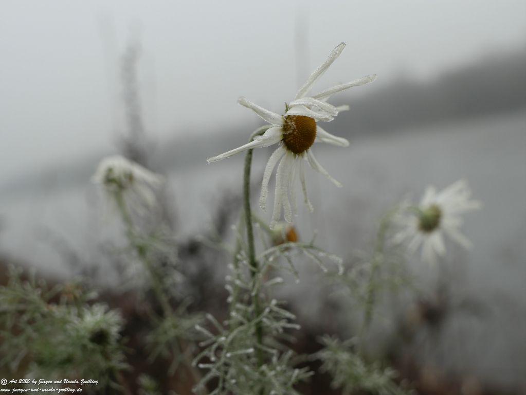 Philosophische Bildwanderung im Nebel von Eltville am Rhein nach Hattenheim zurück nach Eltville