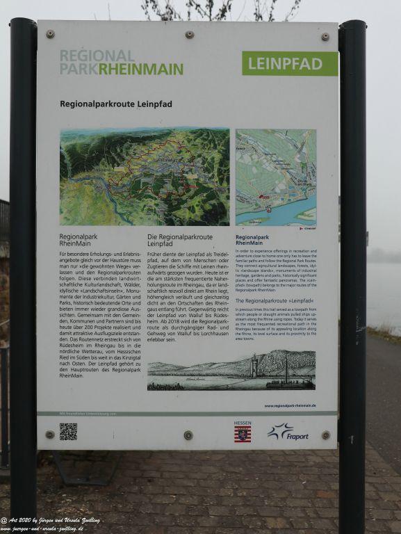 Philosophische Bildwanderung im Nebel von Eltville am Rhein nach Hattenheim zurück nach Eltville