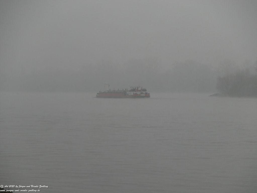 Philosophische Bildwanderung im Nebel von Eltville am Rhein nach Hattenheim zurück nach Eltville