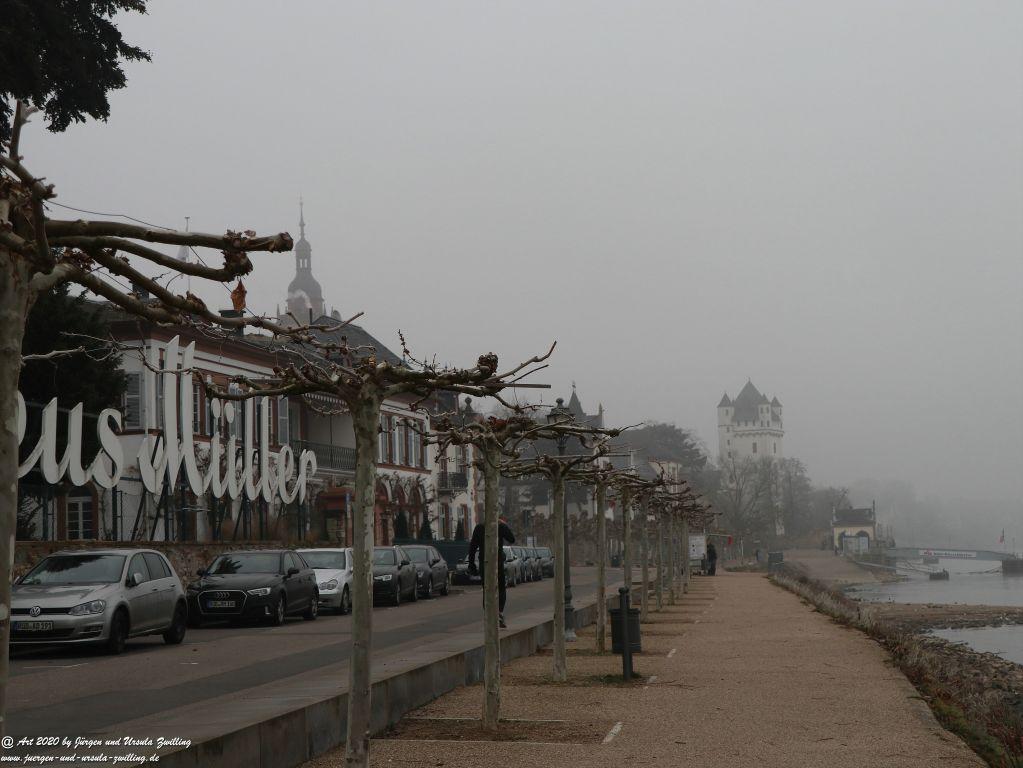Philosophische Bildwanderung im Nebel von Eltville am Rhein nach Hattenheim zurück nach Eltville