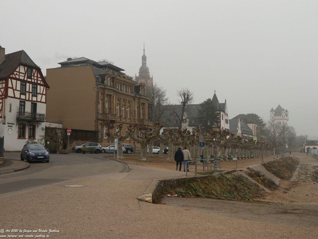 Philosophische Bildwanderung im Nebel von Eltville am Rhein nach Hattenheim zurück nach Eltville