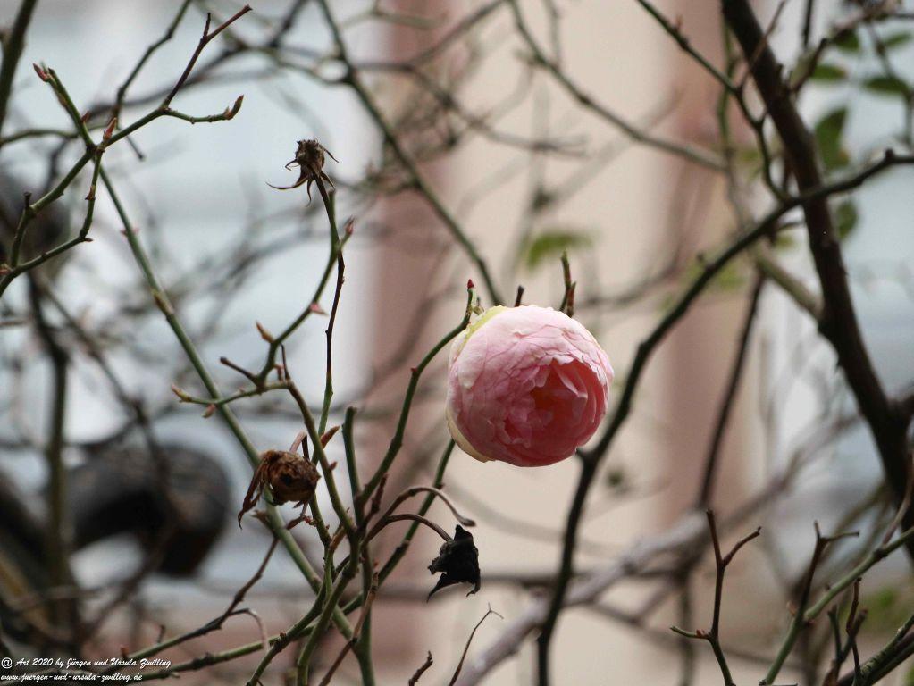 Strasbourg - Straßburg - Elsass - Frankreich