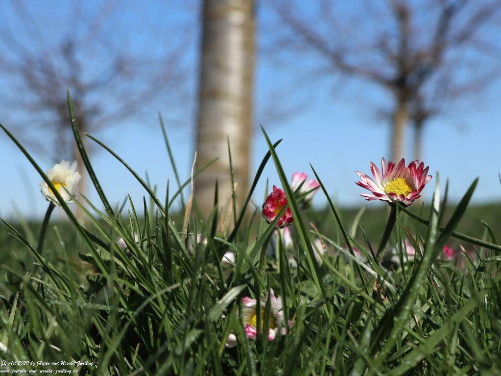 Frühling in Rheinhessen
