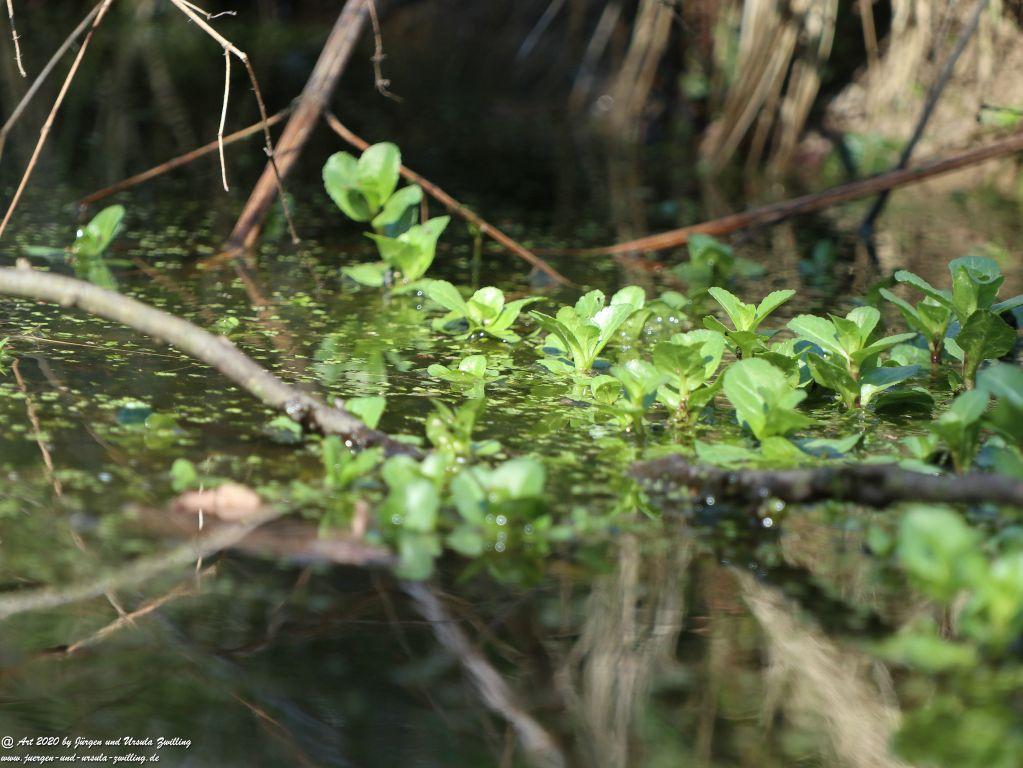 Frühling in Rheinhessen
