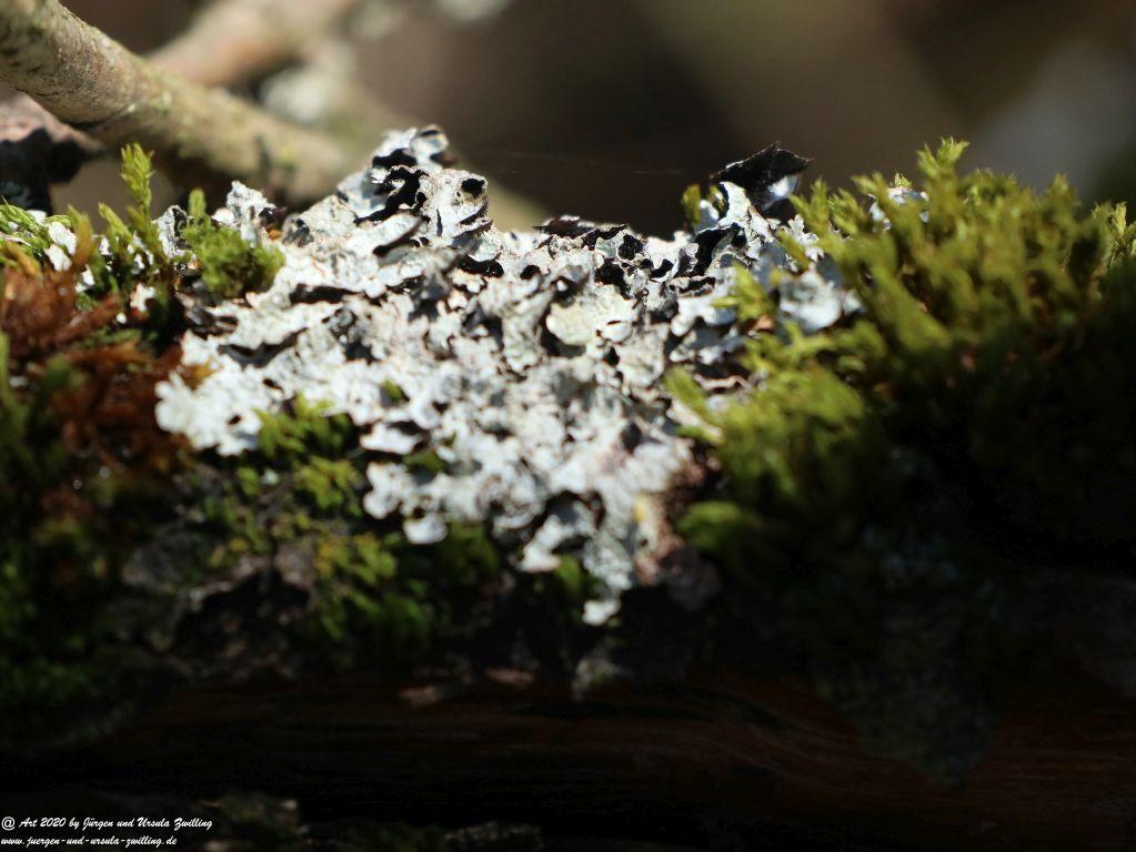 Frühling in Rheinhessen