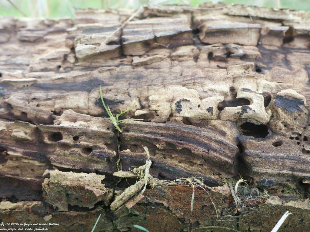 Philosophische Bildwanderung Leuchtturm Staberhuk - Insel Fehmarn - Ostsee 