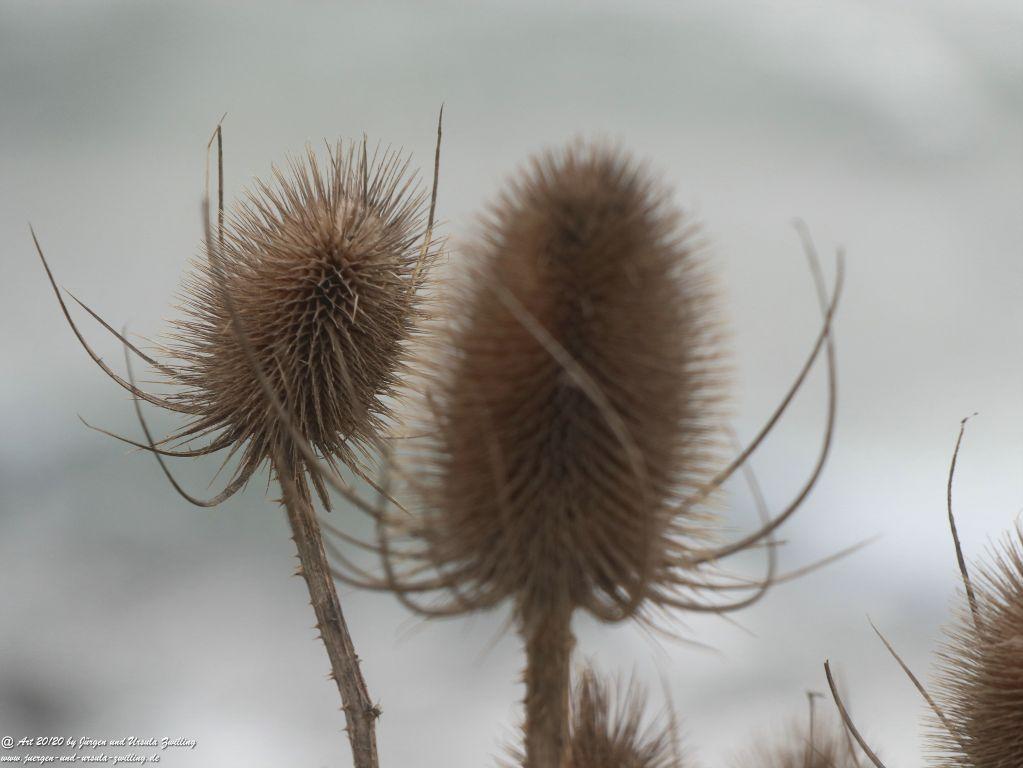 Philosophische Bildwanderung Leuchtturm Staberhuk - Insel Fehmarn - Ostsee 