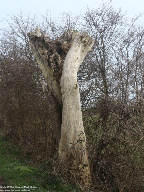 Philosophische Bildwanderung Leuchtturm Staberhuk - Insel Fehmarn - Ostsee 
