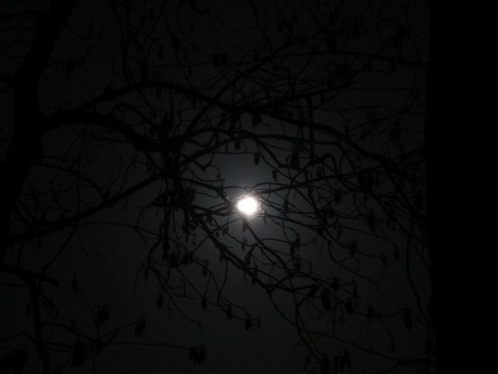 Vollmond über Burg auf Fehmarn - Insel Fehmarn - Ostsee