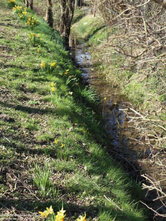 Philosophische Bildwanderung Fehrmarnsundbrücke - Teschendorf - Fehmarnsundbrücke Insel Fehmarn - Ostsee