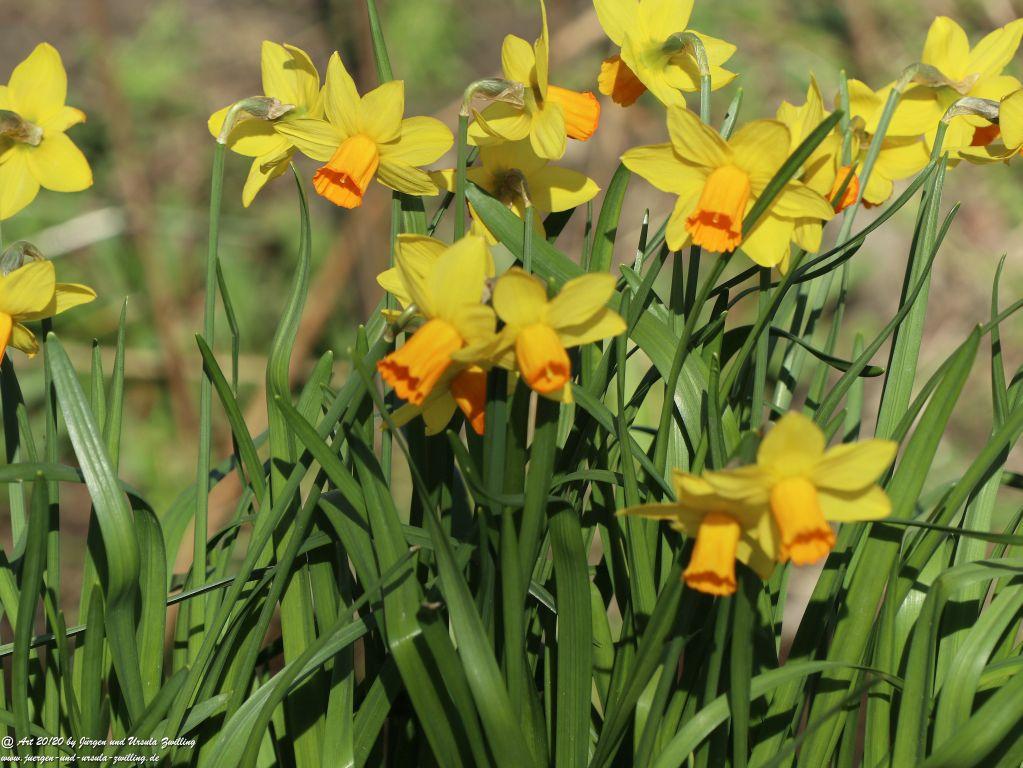 Philosophische Bildwanderung Fehrmarnsundbrücke - Teschendorf - Fehmarnsundbrücke Insel Fehmarn - Ostsee