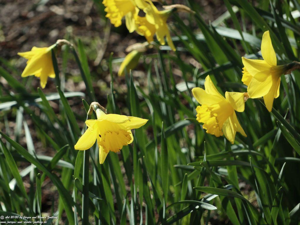 Philosophische Bildwanderung Fehrmarnsundbrücke - Teschendorf - Fehmarnsundbrücke Insel Fehmarn - Ostsee