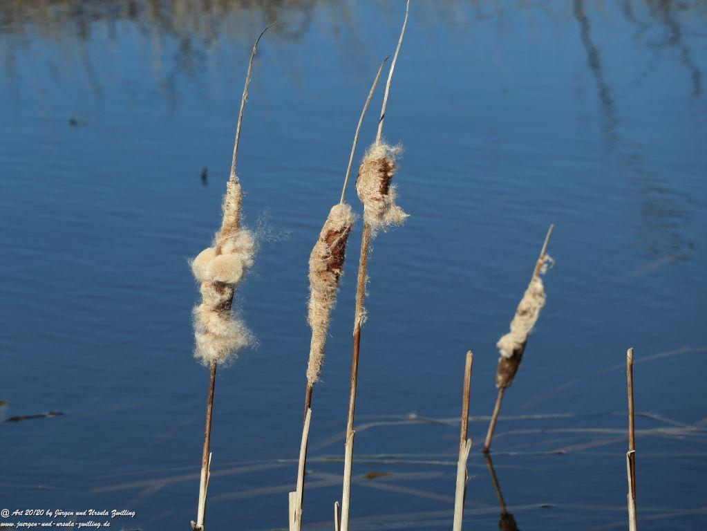 Philosophische Bildwanderung Fehrmarnsundbrücke - Teschendorf - Fehmarnsundbrücke Insel Fehmarn - Ostsee