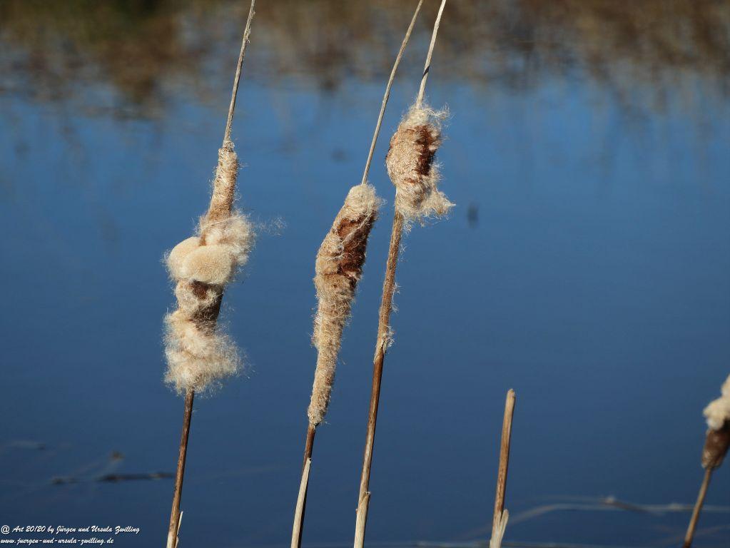 Philosophische Bildwanderung Fehrmarnsundbrücke - Teschendorf - Fehmarnsundbrücke Insel Fehmarn - Ostsee