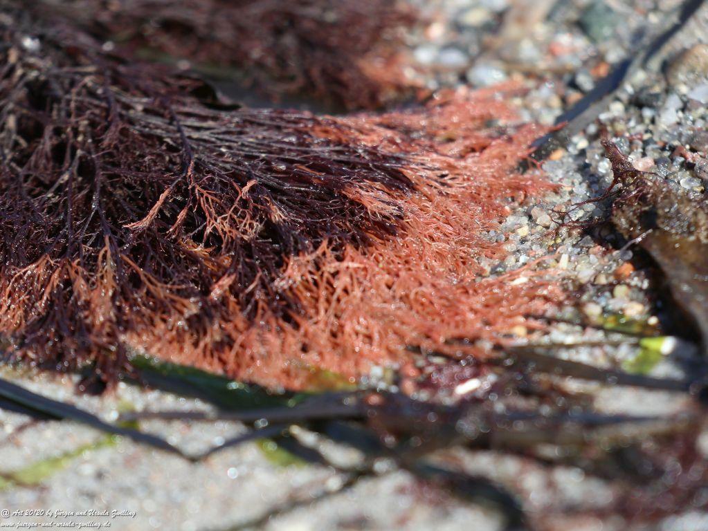 Philosophische Bildwanderung Fehrmarnsundbrücke - Teschendorf - Fehmarnsundbrücke  Insel Fehmarn - Ostsee