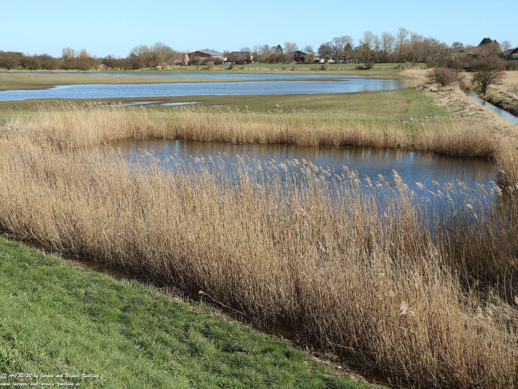 Philosophische Bildwanderung Fehrmarnsundbrücke - Teschendorf - Fehmarnsundbrücke Insel Fehmarn - Ostsee