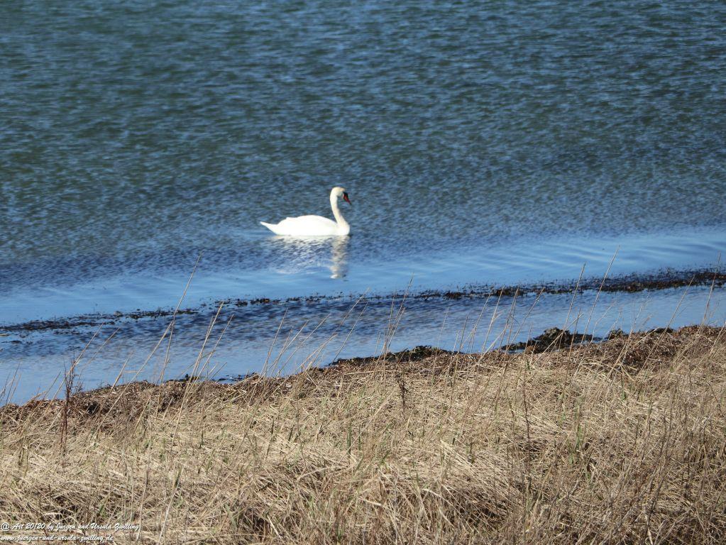 Philosophische Bildwanderung Fehrmarnsundbrücke - Teschendorf - Fehmarnsundbrücke Insel Fehmarn - Ostsee
