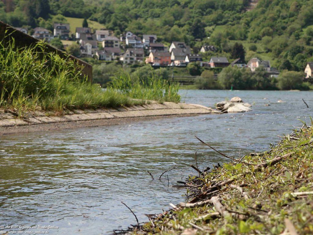 Philosophische Bildwanderung Rhein-Wisper-Glück - Taunus