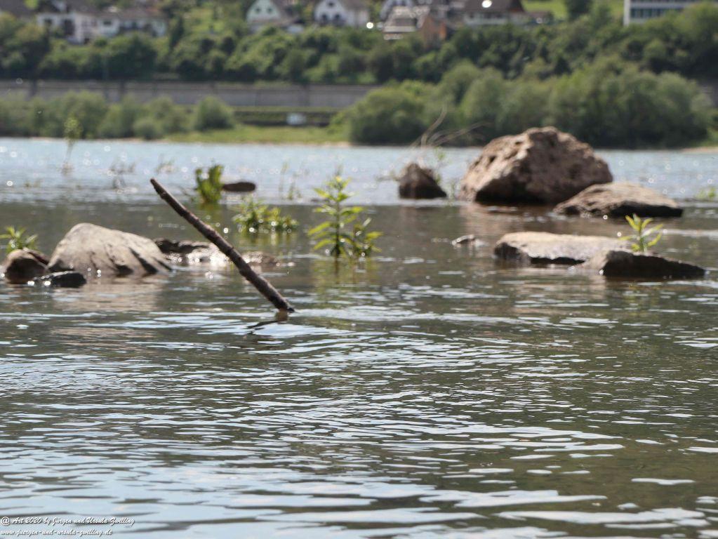 Philosophische Bildwanderung Rhein-Wisper-Glück - Taunus