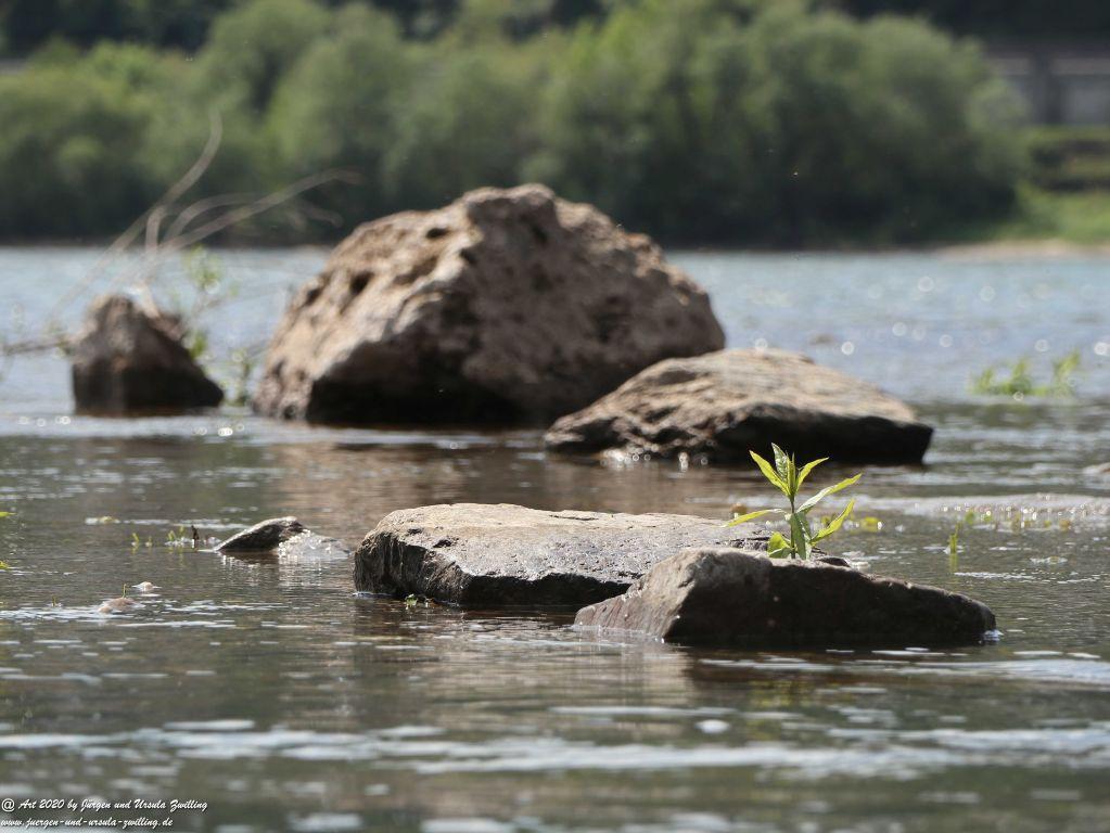 Philosophische Bildwanderung Rhein-Wisper-Glück - Taunus