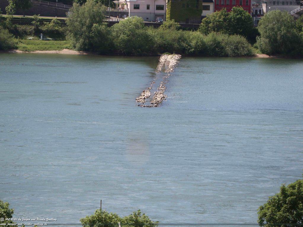 Philosophische Bildwanderung Rhein-Wisper-Glück - Taunus