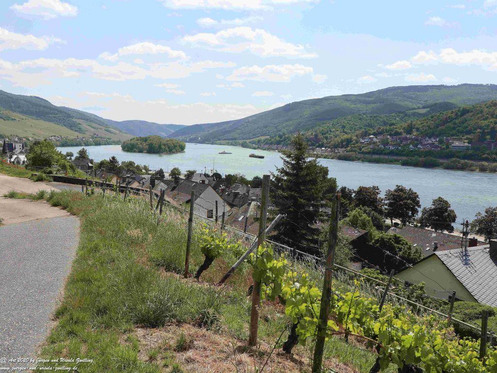 Philosophische Bildwanderung Rhein-Wisper-Glück - Taunus