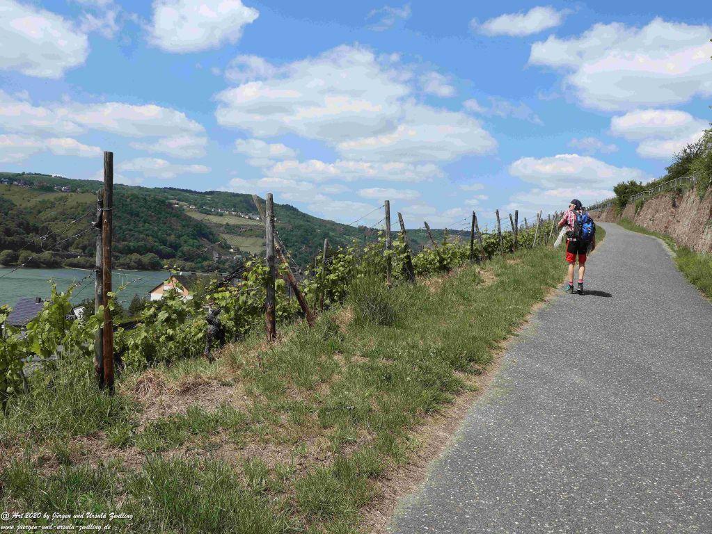 Philosophische Bildwanderung Rhein-Wisper-Glück - Taunus
