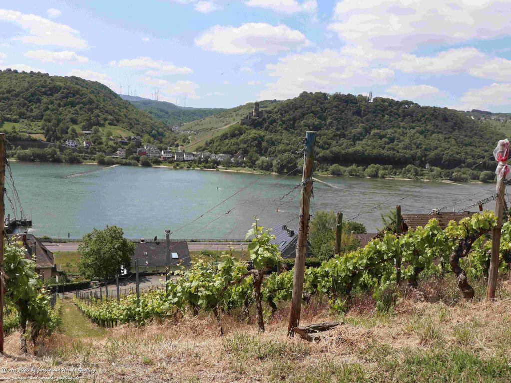 Philosophische Bildwanderung Rhein-Wisper-Glück - Taunus