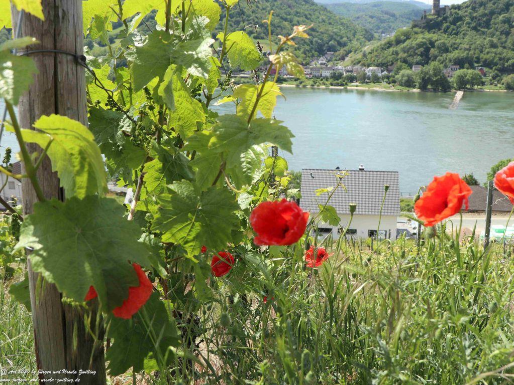 Philosophische Bildwanderung Rhein-Wisper-Glück - Taunus