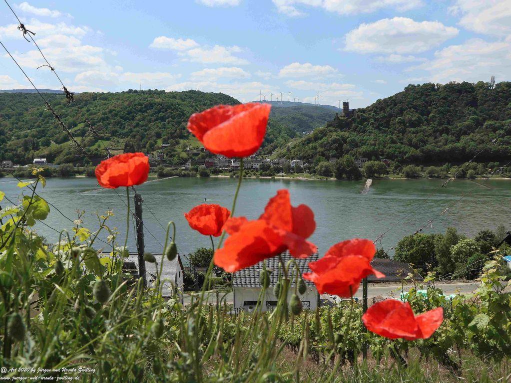 Philosophische Bildwanderung Rhein-Wisper-Glück - Taunus