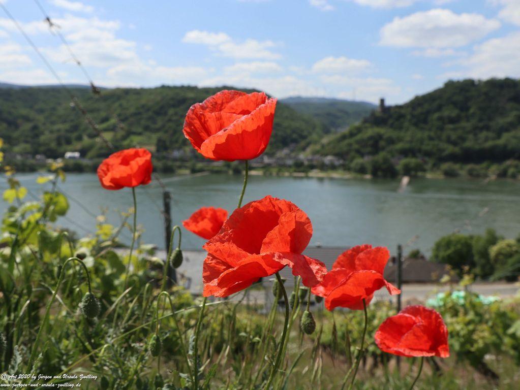 Philosophische Bildwanderung Rhein-Wisper-Glück - Taunus