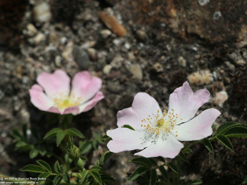 Philosophische Bildwanderung Rhein-Wisper-Glück - Taunus