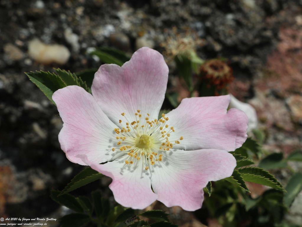 Philosophische Bildwanderung Rhein-Wisper-Glück - Taunus