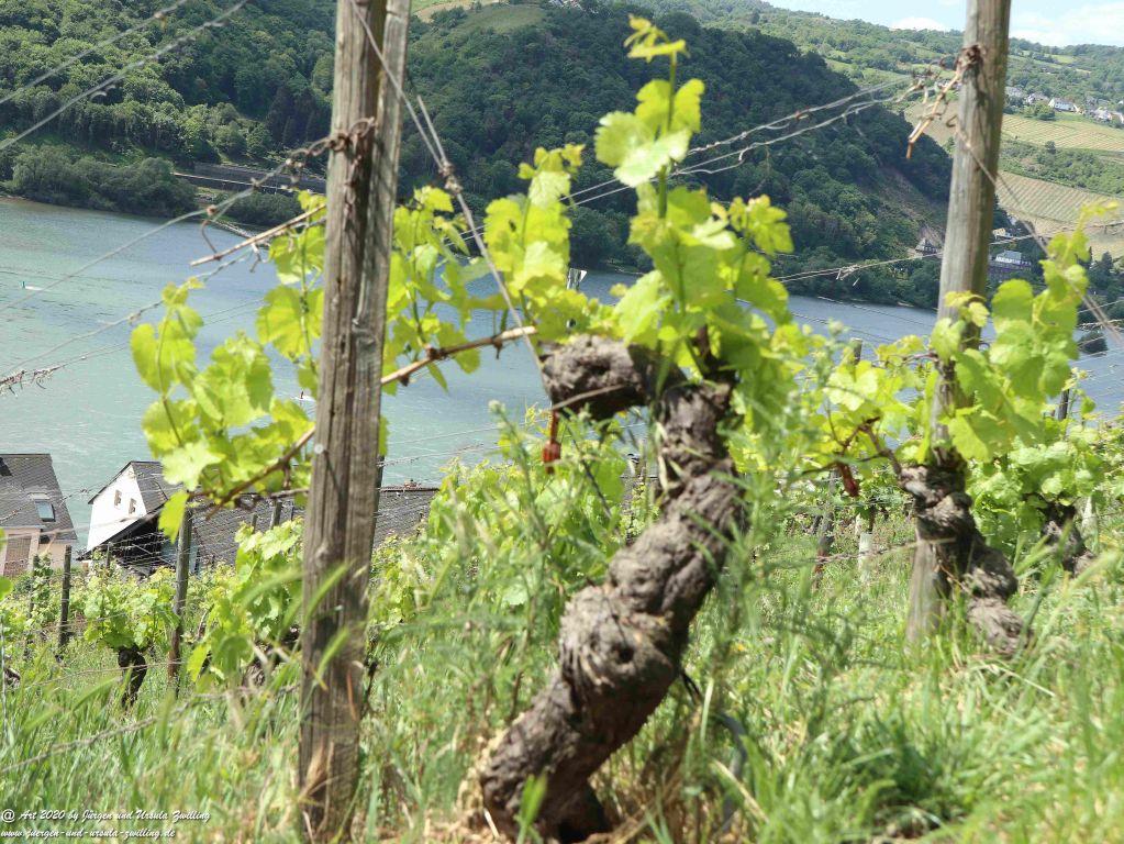 Philosophische Bildwanderung Rhein-Wisper-Glück - Taunus