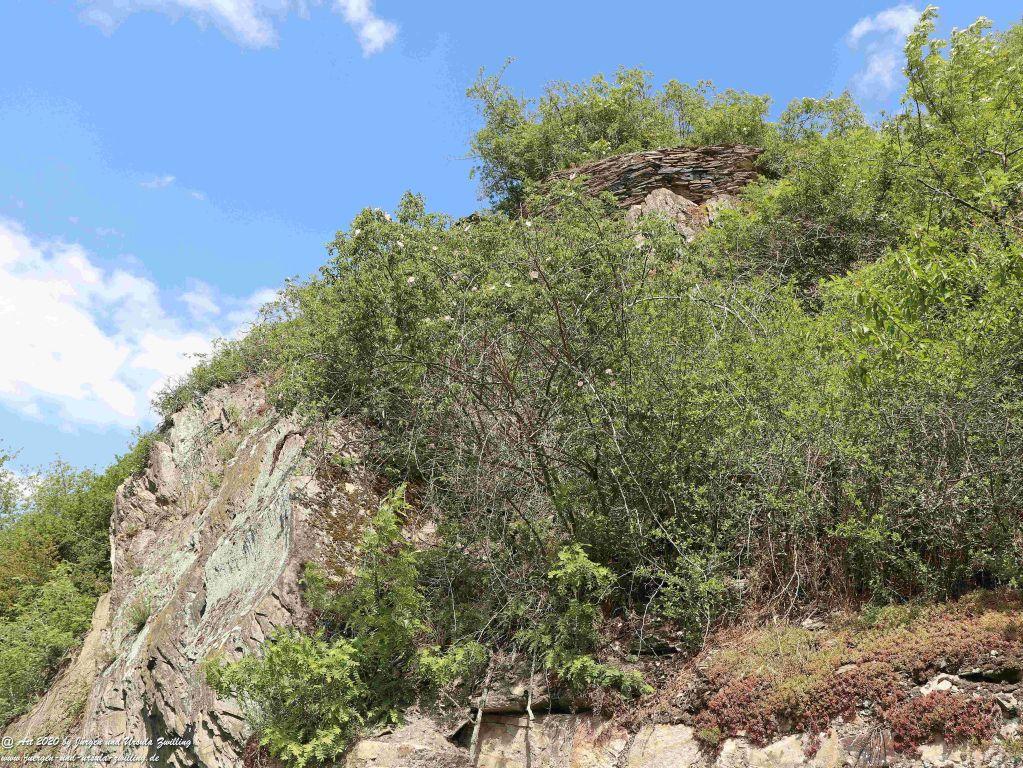 Philosophische Bildwanderung Rhein-Wisper-Glück - Taunus